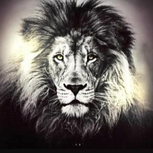 Meet your Posher, Varinder singh